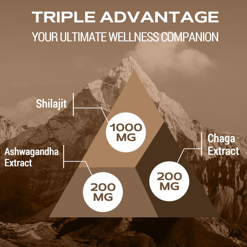 Shilajit Gummies 1400mg, Shilajit Supplement with Chaga and Ashwagandha, Original from Himalayan with Fulvic & Humic Acid and 85+ Minerals, for Energy, Immunity & Focus, Sugar-Free, 120 Gummies 60 count (Pack of 2)