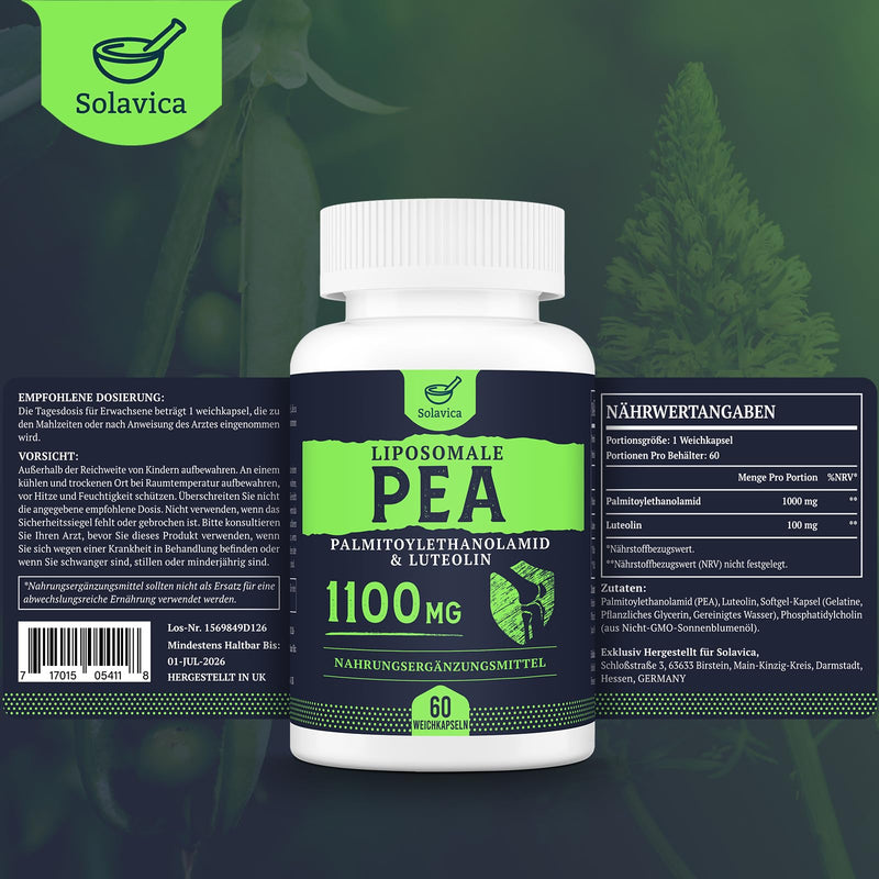 [Australia] - Liposomal Palmitoylethanolamide (PEA) 1100 mg with Luteolin, Micronized PEA - High Purity, Super Absorption, 60 Softgels (Pack of 1) 60 Pieces (Pack of 1) 
