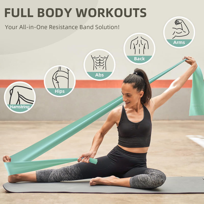 [Australia] - Stretch Bands for Exercise, 5 Levels Resistance Bands for Working Out, Exercise Bands for Physical Therapy, Pilates, Rehab, Stretch, Strength Training and Yoga Starter Set 