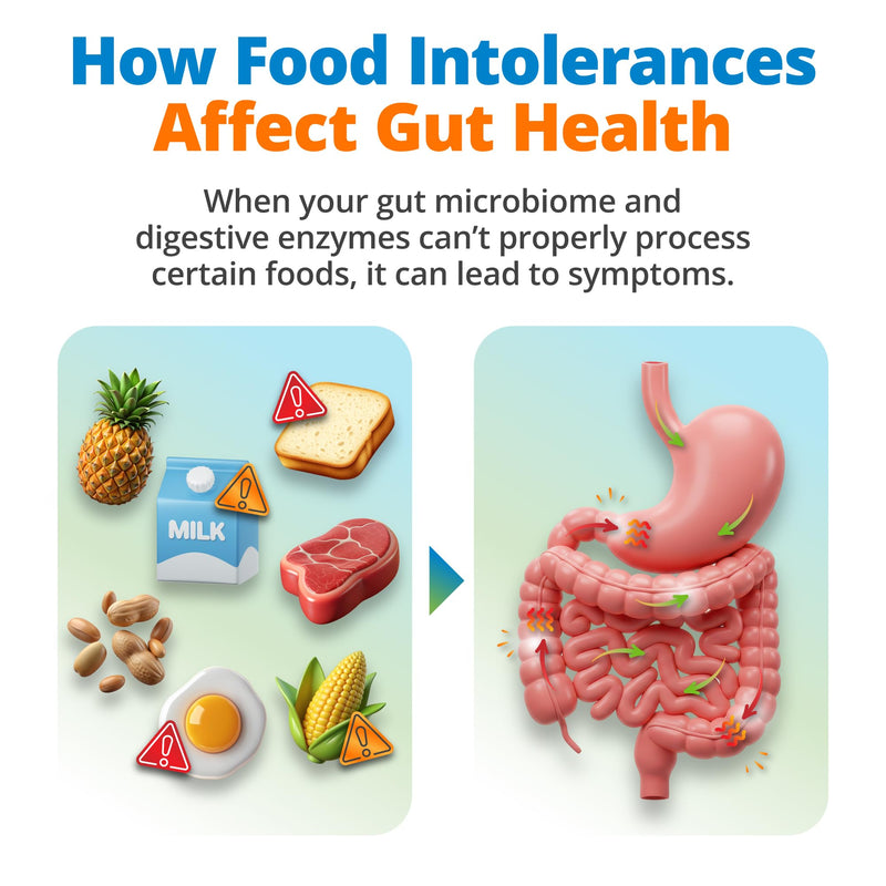 5Strands Gut Health Test for Adults & Kids, 500+ Items Tested, At-Home Hair Sample Screening for Food Intolerances Linked to Digestive Issues, Skin Irritation, Brain Fog & Headaches, Results in 4 Days