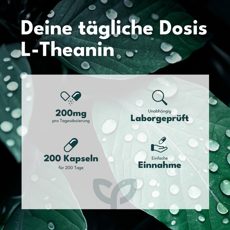 [Australia] - SOLVISAN L-Theanine capsules - IMPORTANT: Study dosage of 200 mg per day - 200 capsules - No additives 
