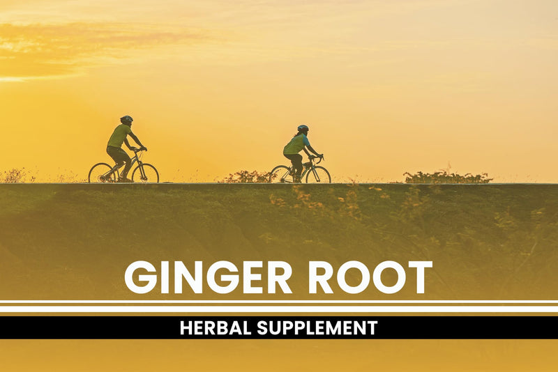 [Australia] - Pure Original Ingredients Ginger Root (365 Capsules) No Magnesium Or Rice Fillers, Always Pure, Lab Verified 365 Count (Pack of 1) 