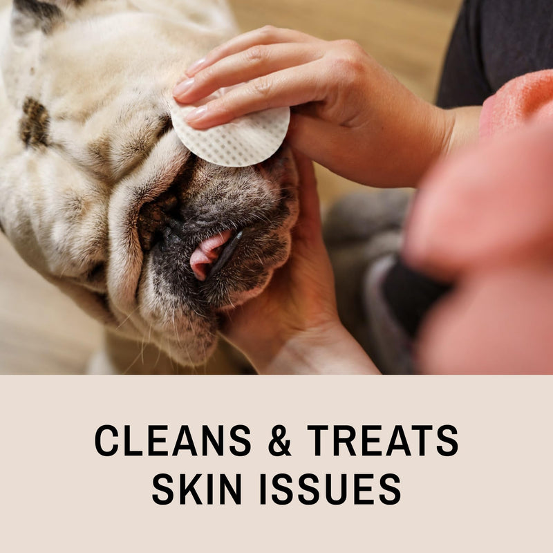 Eye Envy Bulldog Wrinkle Cleaner & Nose Care Kit. Bulldog Wrinkle Wipes, Tear Stain Powder, Applicator Brush & Dog Nose Balm. Cleans Skin Folds. Removes Stains. Helps Cracked Noses. Made in USA - PawsPlanet Australia