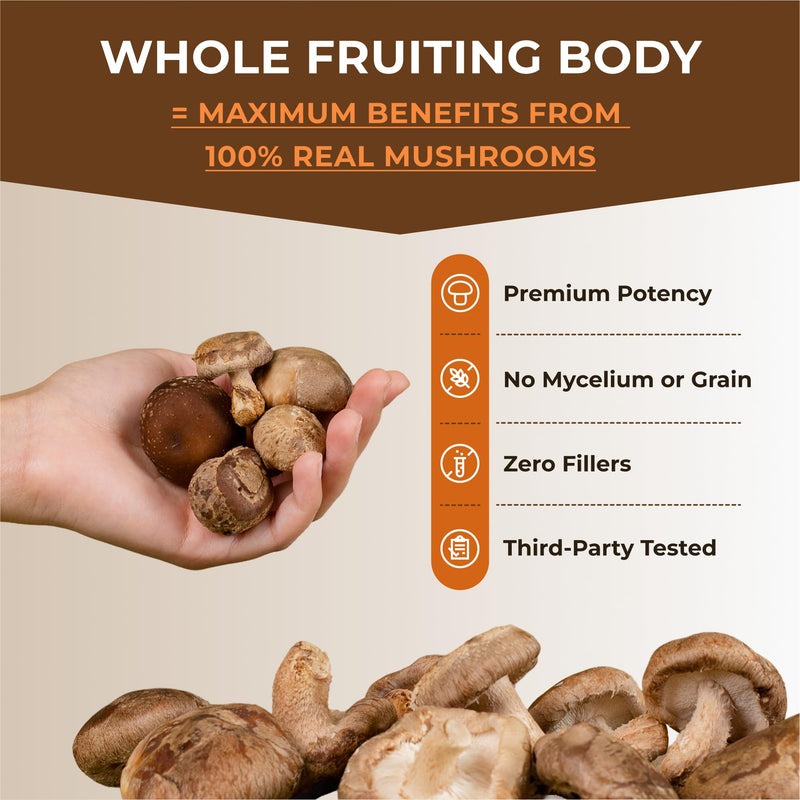 [Australia] - Sacred 7 Mushroom Coffee Booster | Organic Mushroom Supplement Powder ‚Äì Lions Mane, Reishi, Chaga & More | Adaptogen + Nootropic | 100% Fruiting Bodies | Mix with Coffee,Tea, Smoothies - 226 Servings Sacred 7 8 Ounce (Pack of 1) 