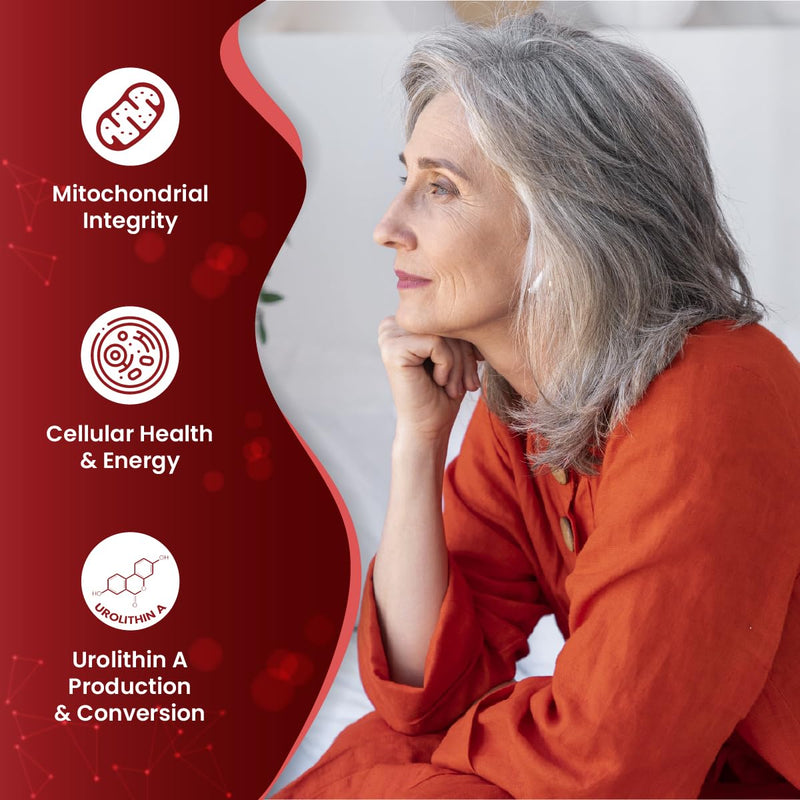 Ultrapome – Train Your Body to Produce Urolithin A Naturally. Gut Microbiome + Pomegranate Extract + Probiotics = Cellular Renewal & Mitochondrial Support. 30 Vegan Capsules