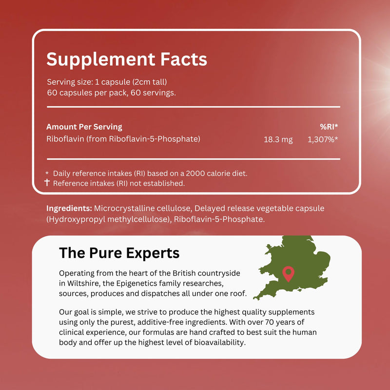 Riboflavin-5-Phosphate Delayed Release (DR) | High Strength Vitamin B2 R5P 18.3mg Per Serving | 60 Vegan Friendly Capsules UK Made | Long 2 Month Supply