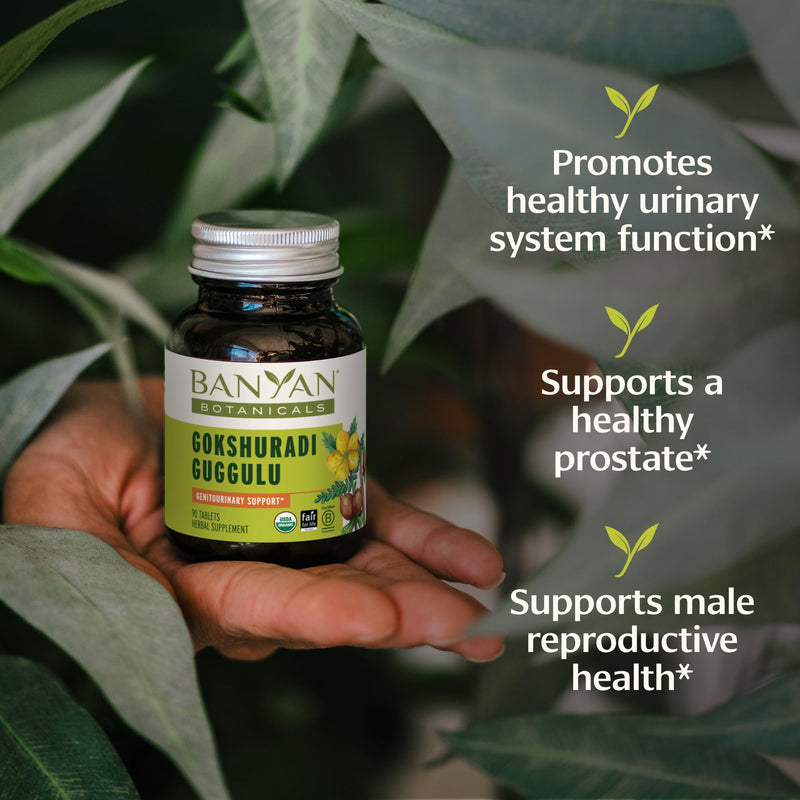 Banyan Botanicals Organic Gokshuradi Guggulu – Urinary Tract & Kidney Support Supplement – with Gokshura & Guggulu Resin for Systemic Cleansing & Vitality – 90 Tablets – USDA Organic