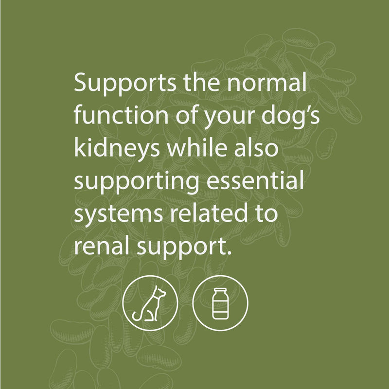 Standard Process - Canine Renal Support - Kidney Health for Dogs - 110 Grams - PawsPlanet Australia