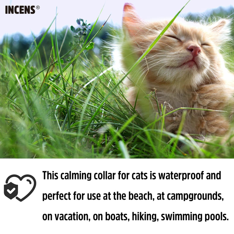 Calming Collar for Cats, Cat Calming Collar Anxiety Relief Adjustable,Essential Oil Collar with 45 Days for Kitten Medium Large Cats purple-1Pcs - PawsPlanet Australia