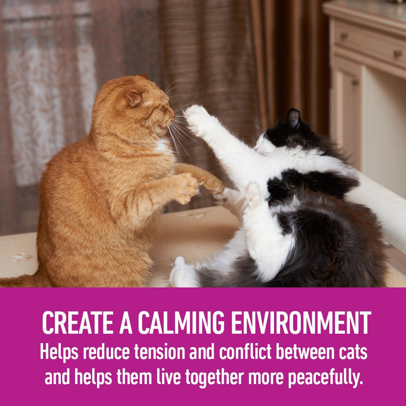 Comfort Zone Multicat Diffuser Kit for Cat Calming Old Feliway Formula Single Diffuser Kit - PawsPlanet Australia