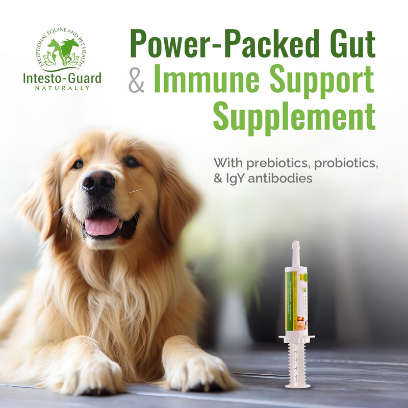 Intesto Guard Probiotics Paste 60ML/60cc Tube for Dogs & Cats Helps with Dog Diarrhea, Immune Supplements, with IgY antibodies & Made in USA - PawsPlanet Australia