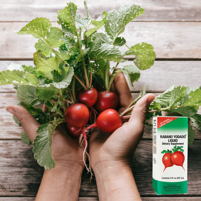 [Australia] - Enhances Your Body Energy, Improves Immunity, Horseradish Extract, 8 FL Oz, Bottle, Red 8 Fl Oz (Pack of 1) 