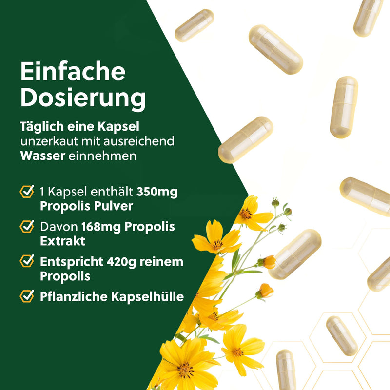 [Australia] - beegut ORGANIC propolis capsules, 60 capsules in a vegetable capsule shell with ORGANIC propolis extract, sustainable packaging, 60 pieces (pack of 1) 