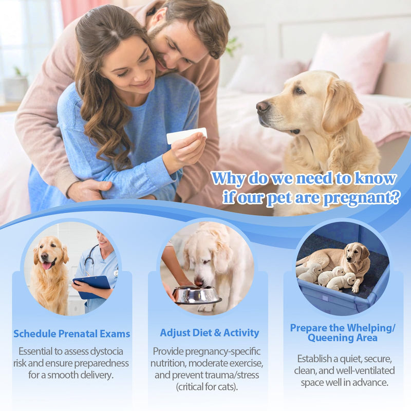 At-Home Dog & Cat Pregnancy Test - 99% Accurate Early Detection. Simple Urine Test Gives Rapid Results in Just 5 Minutes. Painless & Easy Pregnancy Check for Dogs and Cats