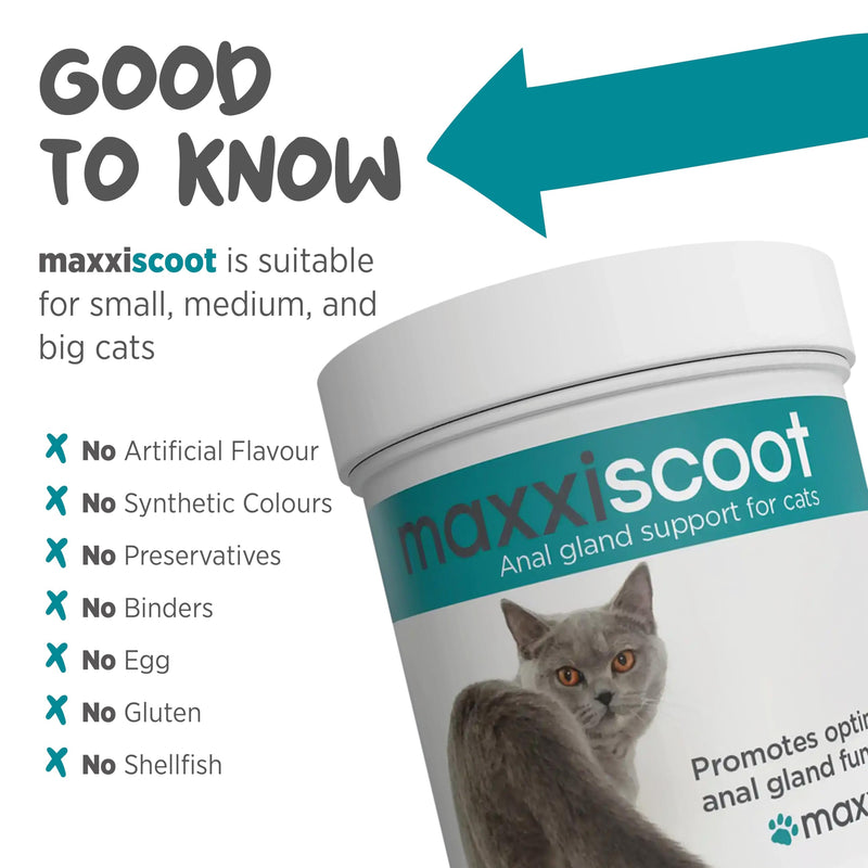 maxxiscoot Anal Gland & Digestive Health Support for Cats - Powder Supplement, 3.2oz - PawsPlanet Australia