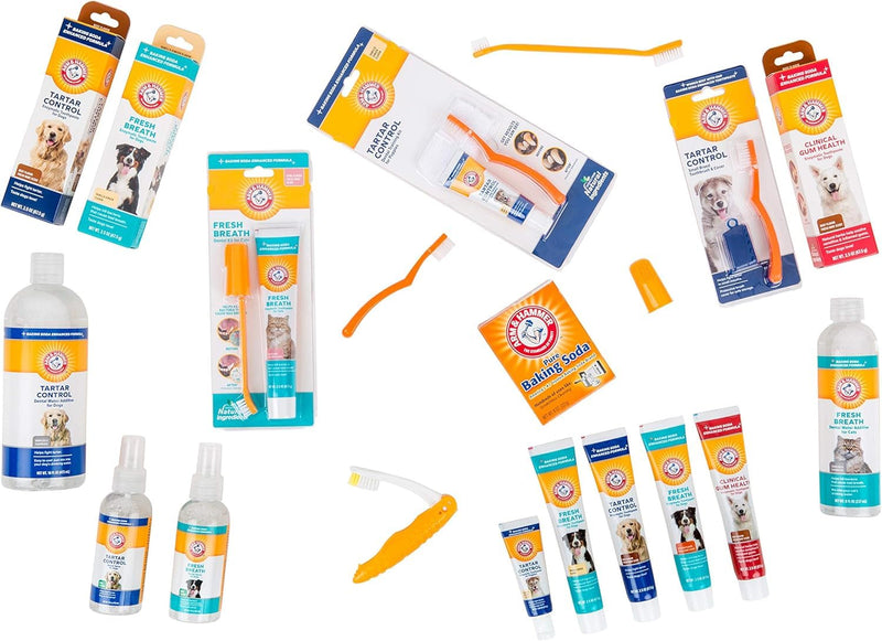 [Australia] - Arm & Hammer for Pets Dental Water Additive for Dogs, Tartar Control | Dog Dental Care Reduces Plaque & Tartar Buildup Without Brushing | Odorless and Flavorless, 16 Fl Ounces - 2 Pack 16 Fl Oz (Pack of 2) 