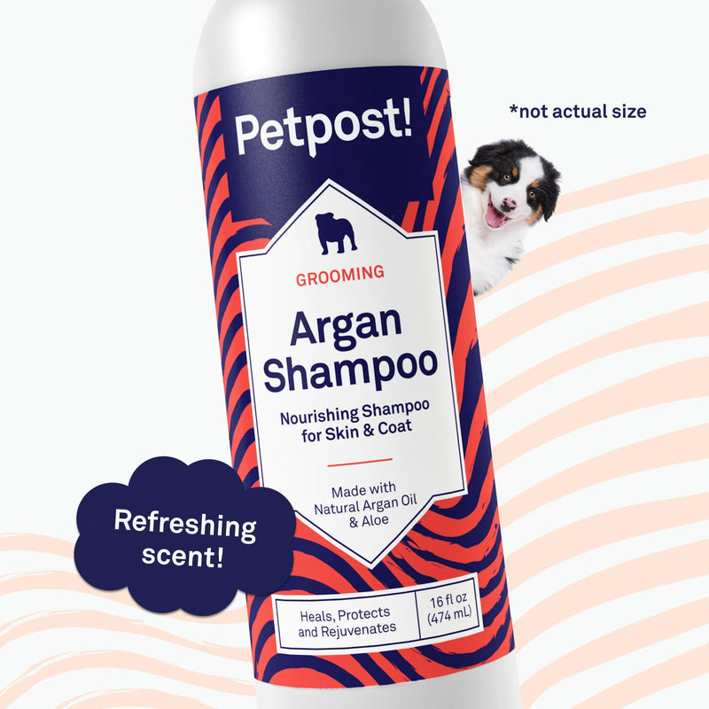 Petpost | Argan Shampoo for Dogs - Naturally Heals, Protects, & Rejuvenates Dog Dry Skin & Coat - Argan Oil and Aloe Formula 16 oz. 16oz. - PawsPlanet Australia