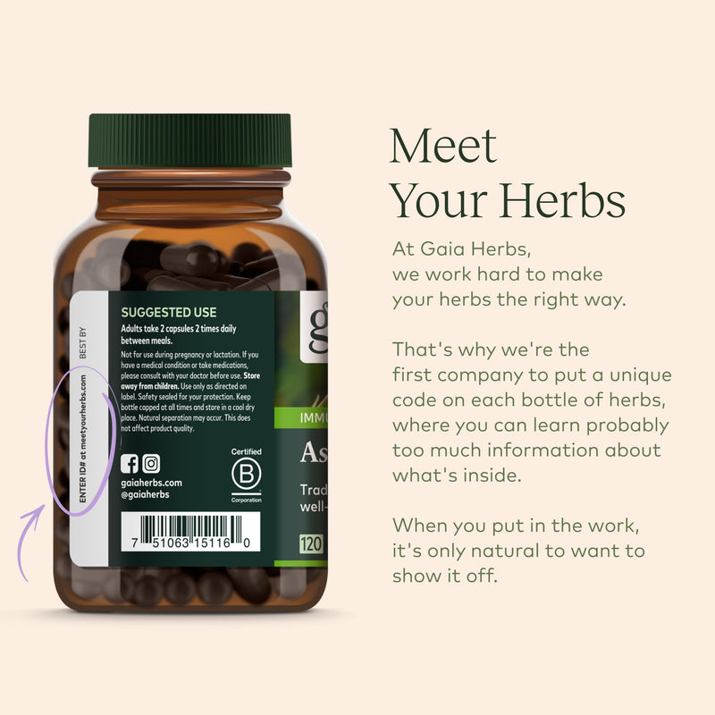 [Australia] - Gaia Herbs Astragalus Supreme - Immune and Antioxidant Support Herbal Supplement - with Astragalus Root, Schisandra Berry, and Ligustrum - 120 Vegan Liquid Phyto-Capsules (30-Day Supply) 120 Count (Pack of 1) Standard Packaging 
