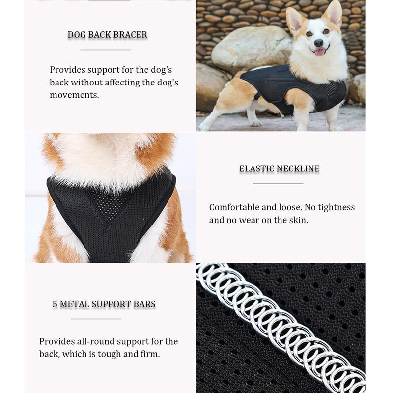 IVDD Back Brace for Dogs, Flexible Pet Dachshund Back Supporting Vest, Dog Back Bracer for Small Pet with Arthritis, Back Pain,Herniated Disc,Spinal Surgical Recovery (M) Medium - PawsPlanet Australia