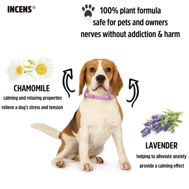 Calming Collar for Dogs, Designed to Alleviate Anxiety in Dogs, is Adjustable and Lasts for 45 Days. It is Suitable for Small and Large Dogs, and Comes in Purple - 1 Pcs - PawsPlanet Australia