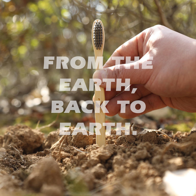 [Australia] - Biodegradable Eco-Friendly Natural Bamboo Charcoal Toothbrushes, FSC Certified and PETA Approved - 12 Count 