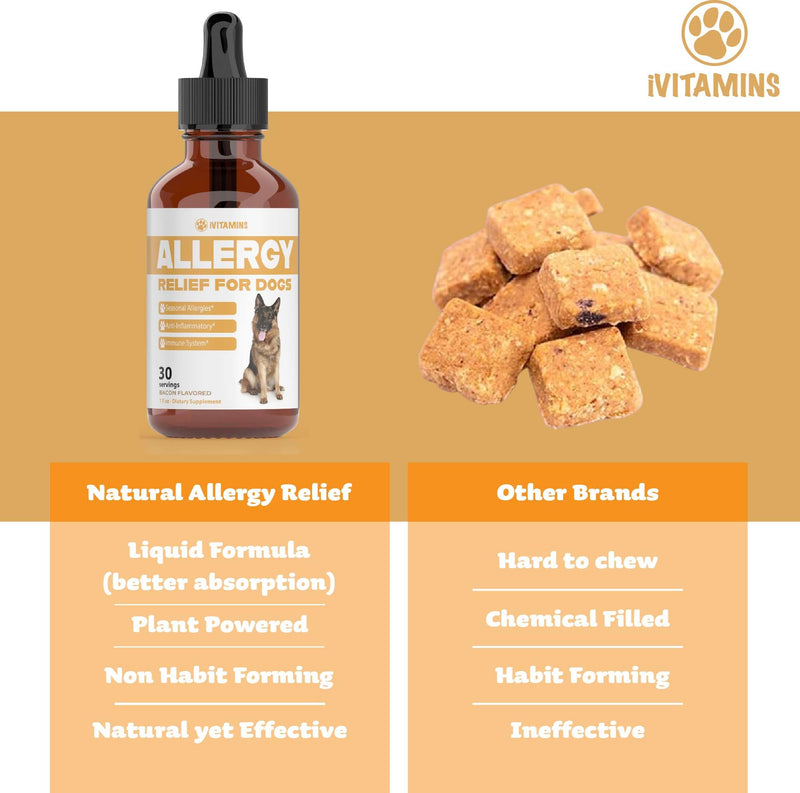 Natural Dog Allergy Relief - Helps to Naturally Support Allergy & Itch Relief for Dogs - Allergy Relief for Dogs Itching - Itch Relief for Dogs - Dog Itch Relief - Dog Allergy Support - 1 fl oz (Dogs) - PawsPlanet Australia