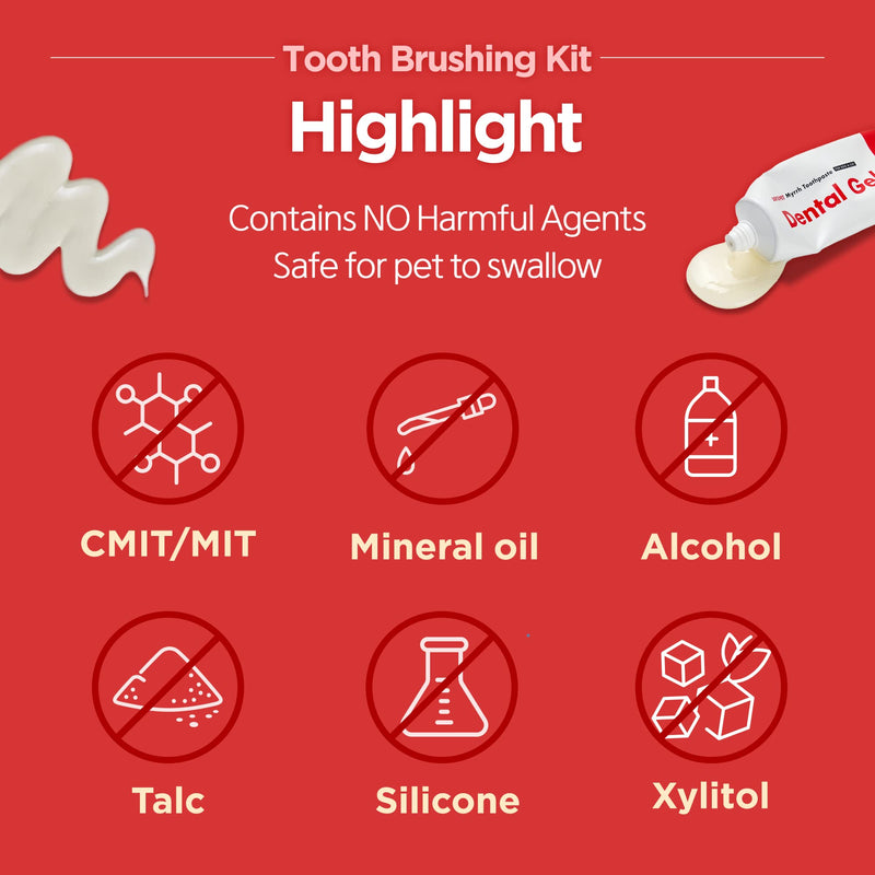 JAYU PET Tooth Brushing Kit - Dental Gel 1EA + Dental Care Brush 1EA | Dog Cat Tooth Brush Kit, Pet Toothpaste and Toothbrush Set, Dental Oral Care Kit, Dog Cat Toothpaste and Brush - PawsPlanet Australia