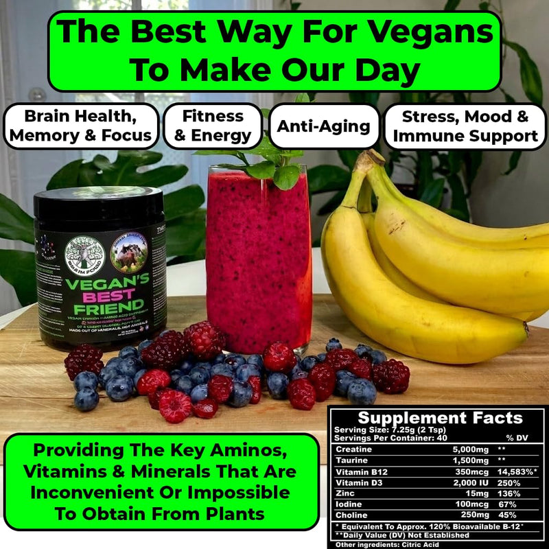 Vegan's Best Friend - Plant Based Multivitamin For Men & Women - Brain, Memory, Energy, Immune, Mood & Stress Support - Replaces 7 Supplements - Creatine, B12, D3, Choline, Zinc, Taurine - 40 Servings 10.6 Ounce (Pack of 1)