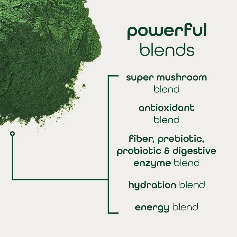 [Australia] - Zena Nutrition Organic Super Greens Energy & Hydration Powder, 70+ Superfoods, 0 Sugar, 5G Fiber, Spirulina, Chlorella, Prebiotics/Probiotics, Natural Caffeine + Electrolytes, 40 Drink Mix Packets Green Apple 0.21 Ounce (Pack of 40) 