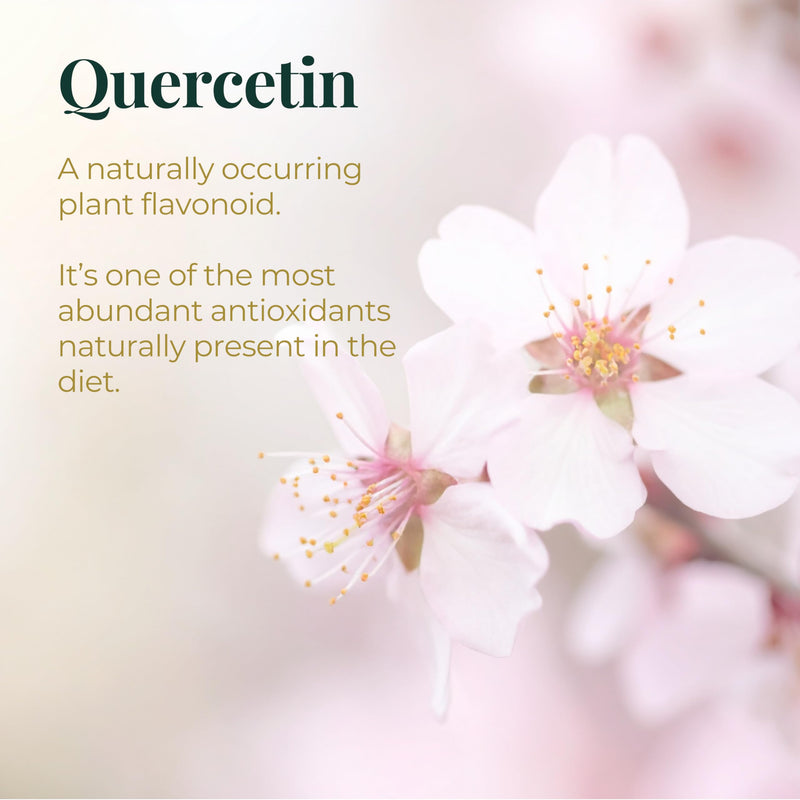 High Strength Quercetin 1000mg Complex, 60 Premium Capsules, Allergy Support, Powerful Antioxidant Supplements, Anti-inflammatory Antioxidant Supplement, Alternative to quercetin Powder, UK Made 60 count (Pack of 1)