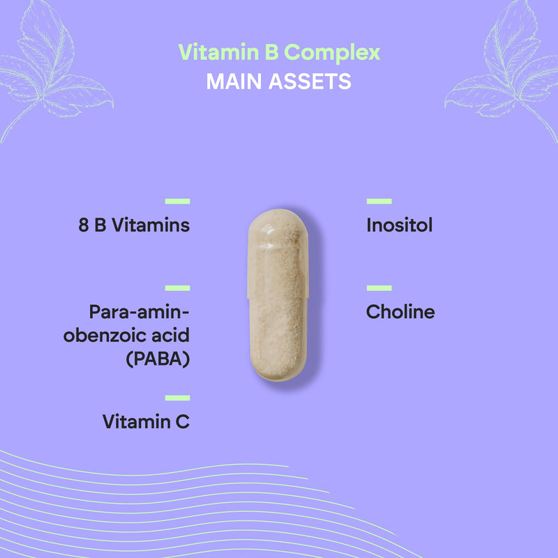 Vitamin B Complex + Vitamin C - High Dosage - 8 Vitamins B C Inositol Choline PABA - Complete Vitamin B Complex B1 B2 B3 B5 B6 Biotin (B7) Folic Acid (B9) B12-90 Capsules Nutralie