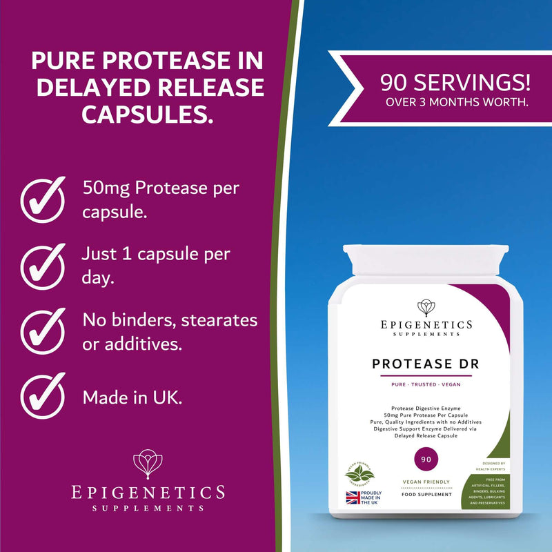 Protease Delayed Release (DR) 50mg | Digestive Support Enzymes | 90 Vegan Friendly Capsules for Digestion UK Made | Long 3 Month Supply