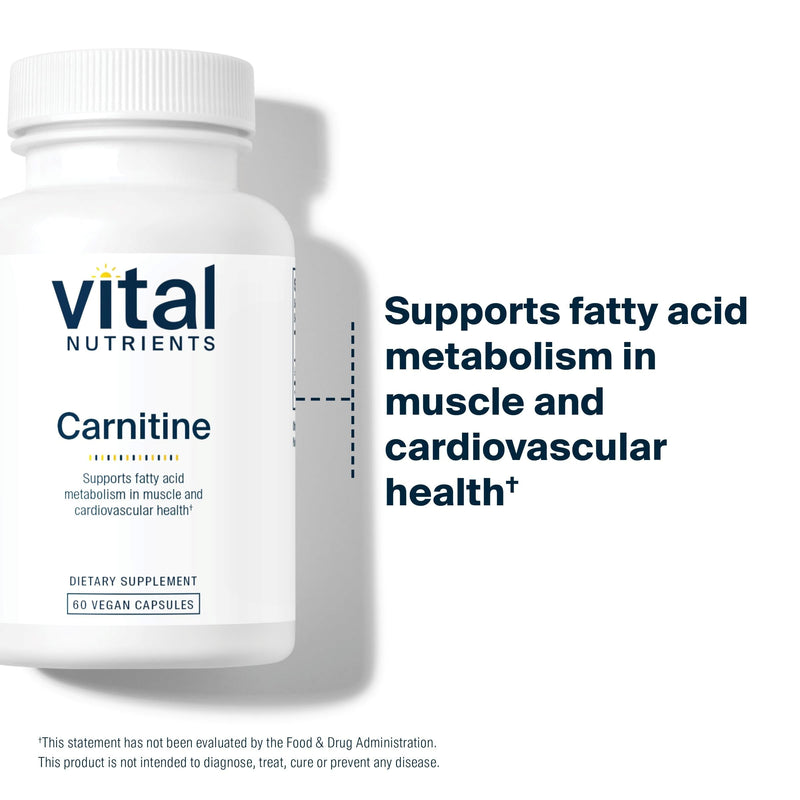 [Australia] - Vital Nutrients - Carnitine - Cardiovascular and Fat Metabolism Support - L-Carnitine Supplement - Heart Health Support - Supports Fatty Acid Transport - 60 Vegetarian Capsules per Bottle - 500 mg 