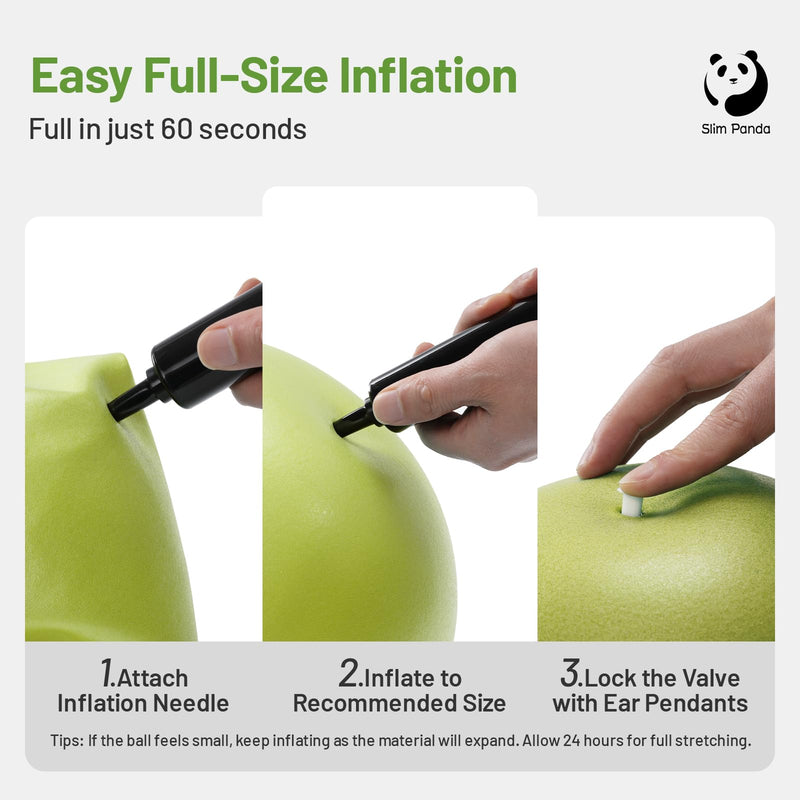 [Australia] - Slim Panda Pilates Ball with Pump, 9 Inch Small Exercise Ball, Anti Burst Mini Yoga Ball for Stability, Workout, Barre, Core Strength, Physical Therapy, Balance, Stretching Olive-Green 