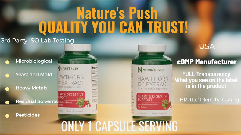 [Australia] - Super Potent Hawthorn Berry 10:1 Extract Capsules for Digestion Heart Health and Glycemic support - Extra Strength Hawthorn Berry Capsules - Non-GMO Gluten Free Vegan GMP USA 2 month supply 