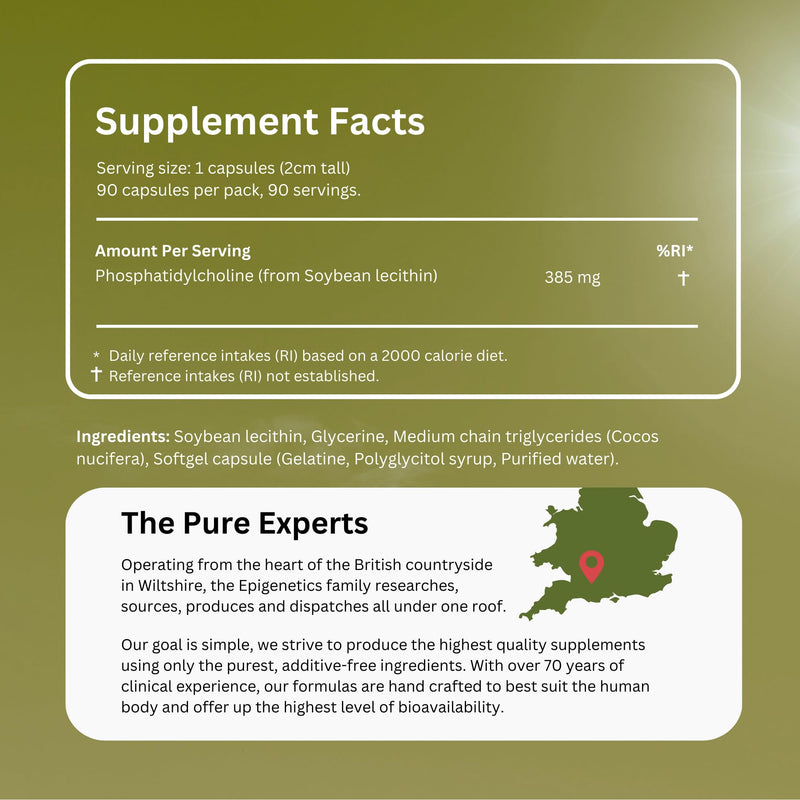 Phosphatidylcholine | 385mg Phosphatidylcholine (Soybean Lecithin) | Cell Health & Brain Function | 90 Capsules UK Made | 1 Capsule Daily (3 Month Supply)