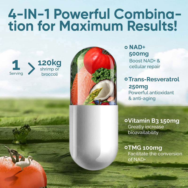 NAD+ Supplement 1000mg, 120 Count High Purity NAD+ for Cellular Vitality & Energy Metabolism 120 Count (Pack of 1)