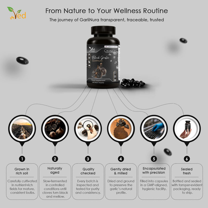 VED GarliNura, 90 Softgels, Fermented & Odorless Black Garlic Supplement with Lavender Flower, Rosemary Leaf, Green Tea Leaf, ALA, Vitamin E, B6, B2, B1, Non-GMO, Halal, 2 Softgels per Day.