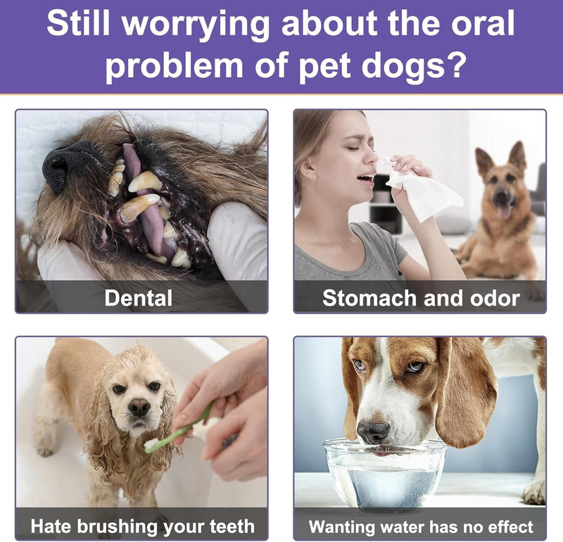 Dog Teeth Cleaning Powder for Dog Bad Breath Treatment, Dog Dental Powder for Dog Breath Freshener with Probiotics, Plaque Tartar Off Dog Tooth Powder Made Easy, Dog Dental Care, All Types Dogs - PawsPlanet Australia