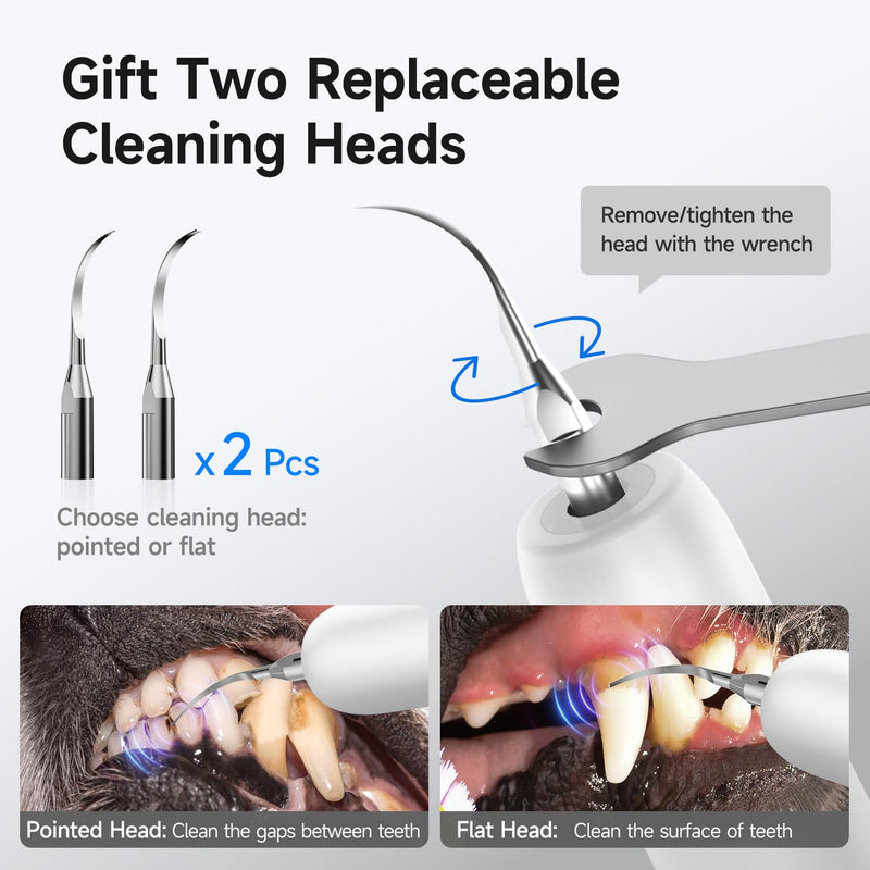[Australia] - Ultrasonic Dog Teeth Cleaning Kit – Electric Pet Plaque & Tartar Remover Tool with 5 Adjustable Modes & LED Light, Safe Low-Noise Tooth Cleaner for Dogs & Cats, at-Home Dental Care 