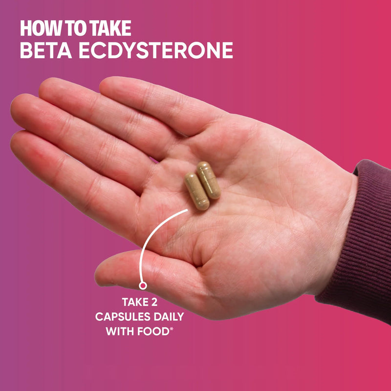 Beta Ecdysterone, High Potency Ecdysteroids Supplement for Muscle Growth & Strength, 60 Vegetarian Capsules - Made in the UK