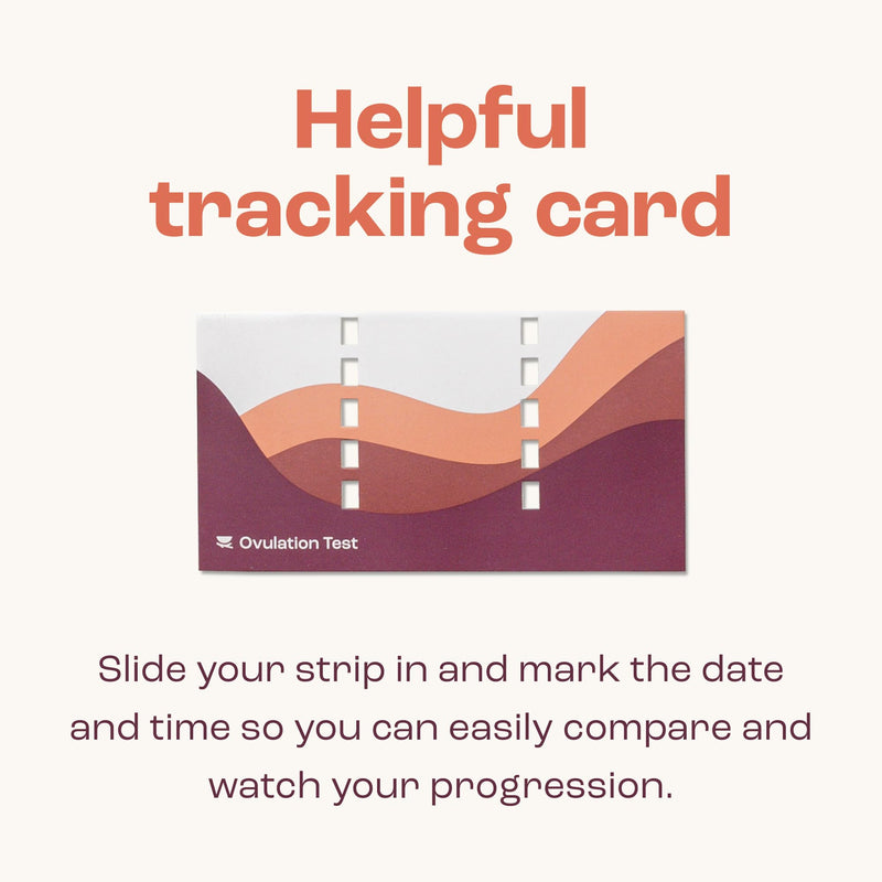 bird&be Ovulation Test Strips (LH) | 10 High-Accuracy Predictor Kits | Track Fertile Window & LH Surge | Eco-Friendly Low-Waste Design | Easy Dip & Read Results | TTC Fertility Monitor White 10 LH Strips