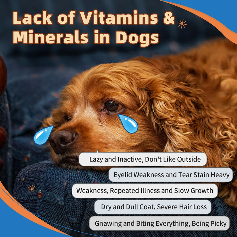 Dog Multivitamin Powder with Glucosamine, Dog Vitamins and Supplements for Immune Support, Dog Skin and Coat Supplement with Omega 3 for Allergy Relief, Probiotics for Dog Support Digestive Health 90 Scoops - PawsPlanet Australia