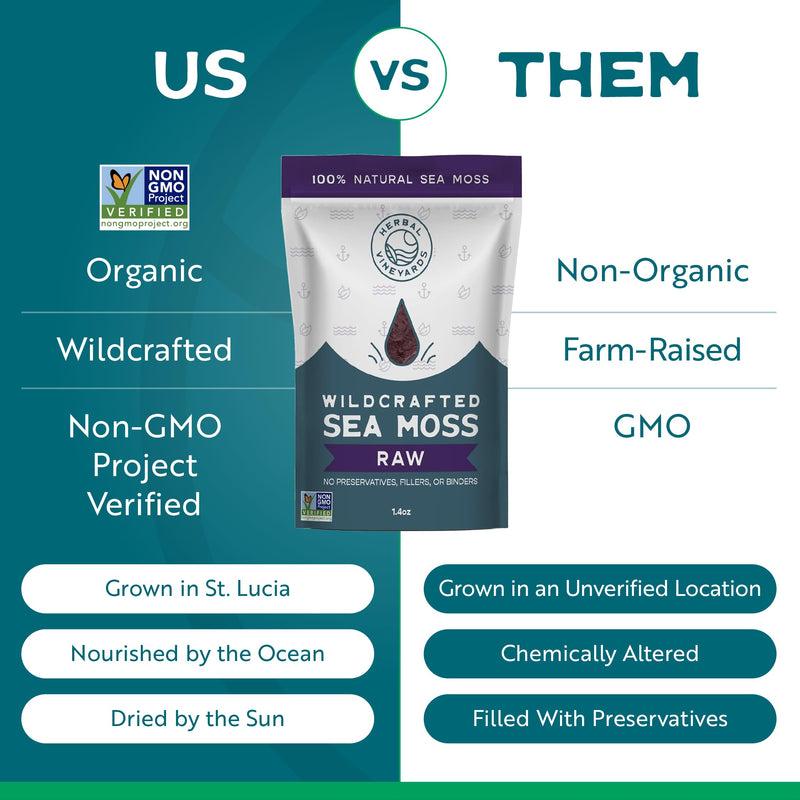 Herbal Vineyards Organic Wildcrafted Raw Purple Irish Sea Moss, 1.4oz | Wildcrafted, non-GMO, single-ingredient purple sea moss; small-batch freshness; simply rinse, soak & blend for gel or tea 1.4 Ounce (Pack of 1)