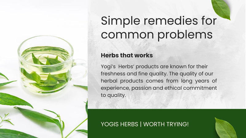 [Australia] - Nilavembu Powder - Andrographis Paniculata - 1 Lb Fresh & Pure 1 Pound (Pack of 1) Dark Green 