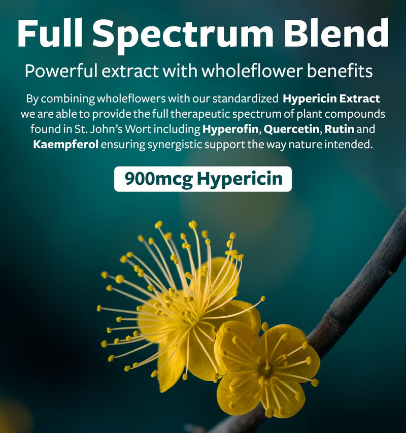[Australia] - St. John's Wort - 120 Capsules (Non-GMO) Effective St Johns Wort Capsules - Powerful 900mcg Hypericin - Standardized Extract & Whole Herb Supplement - No Oil, Pills, Tea, Tincture - 500mg Per Capsule 120 Count (Pack of 1) 