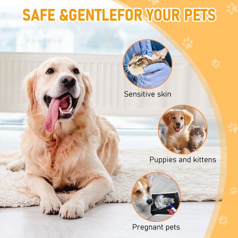 Pet Skin Sprays for Dogs & Cats,Pet Skin Care Spray, Nature Soothing Spray for Clean and Soft Skin, Pet Skin Treatment Spray for All Animals (2Pcs) - PawsPlanet Australia
