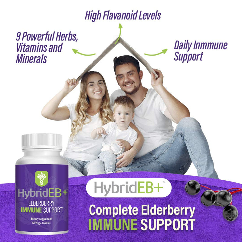 HybridEB Sambucus Elderberry Immune Support Supplement Made in USA, 60 Caps | Black elderberry, vitamin C, D, zinc, full spectrum blend for year-round immunity, pharmacist formulated, vegetarian