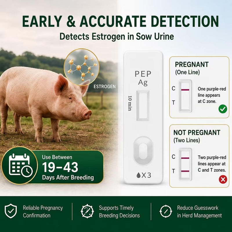 Pig Pregnancy Test – 6 Urine Strips for Sows, Early Detection Kit, Simple & Reliable for Farm or Home Use, Fast 10-Minute Results