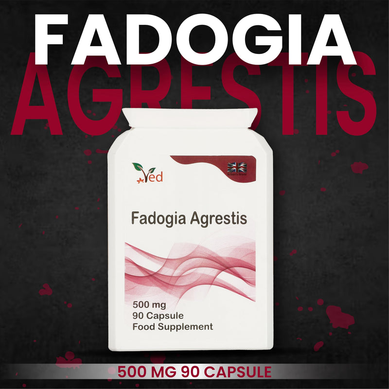 [Australia] - Ved Fadogia Agrestis, 20:1 stem extract, muscle growth - muscle regeneration - sports performance, 90 capsules (supply for 3 months) 